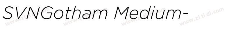 SVNGotham Medium字体转换